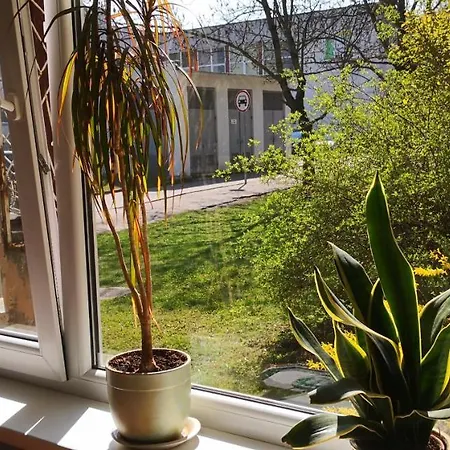 Kambariu Nuoma Kaune -