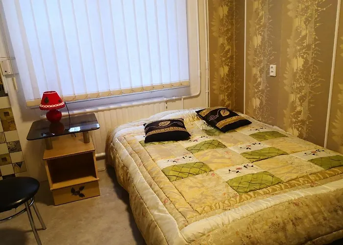 Kambariu Nuoma Kaune - *