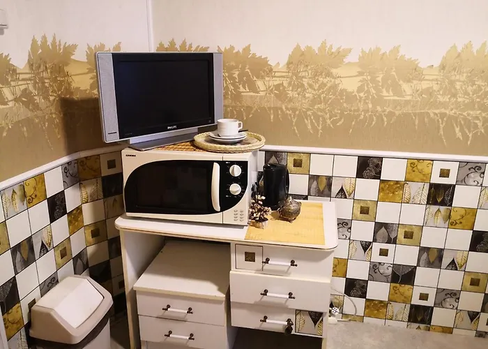 Kambariu Nuoma Kaune -