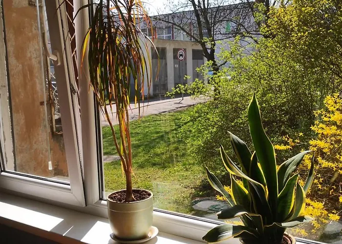 Kambariu Nuoma Kaune -