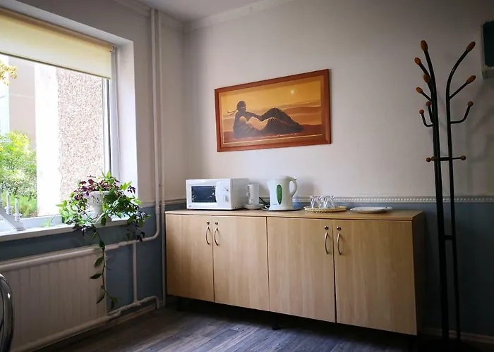 民宿 Kambariu Nuoma Kaune - 考纳斯